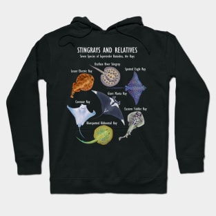 Stingray Species: Manta Ray, River Stingray, and More Hoodie